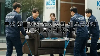 부산 원룸 이사 후, 깨끗한 새 보금자리 만들기! 후기와 정리팁